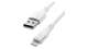 Picture of IPHONE CABLE 1PC