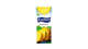 Picture of FRUITIEN PINEAPPLE NECTAR 200ML